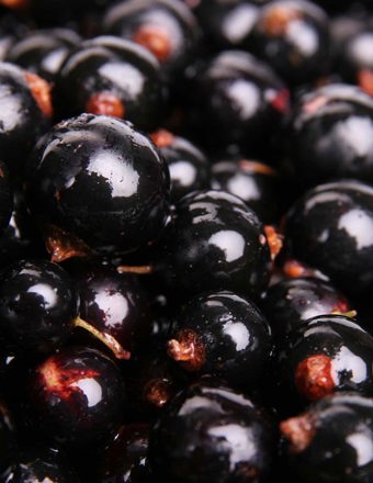 Mathieu Teisseire 70Cl Ingredient Blackcurrant