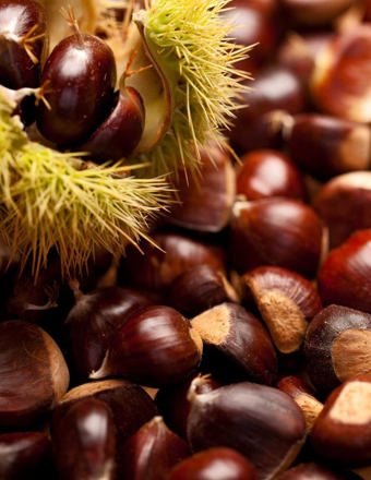 Mathieu Teisseire 70Cl Ingredient Chestnut